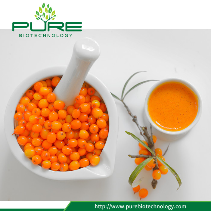 Organic Sea Buckthorn Raw Juice China Manufacturer